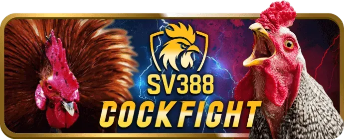 Ưu Đãi Chào Mừng NEW88BI.COM
